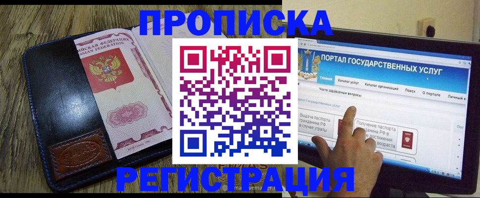 прописка гарантия в Камышине